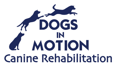 Dogs In Motion